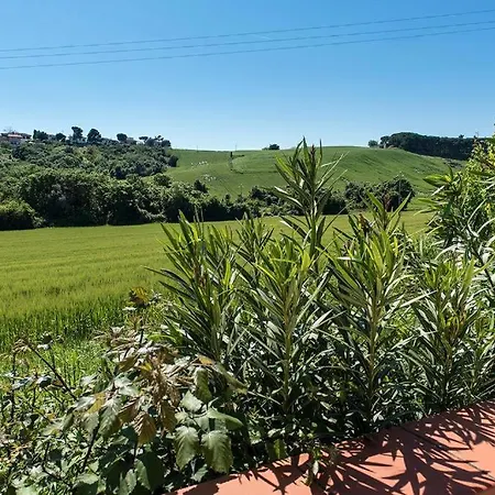 M355 - Marcelli, Bilocale Con Giardino E Parcheggio Lägenhet Marcelli