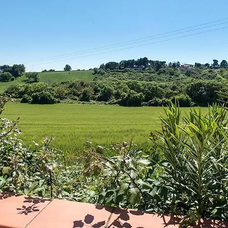 Appartamento M355 - Marcelli, Bilocale Con Giardino E Parcheggio